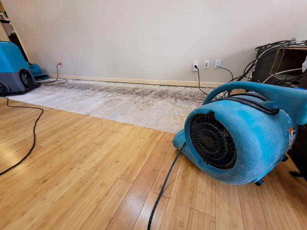 Professional Structural Drying technician working in Westover, WV